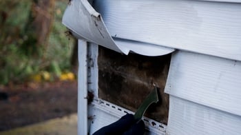 Vinyl Siding & Building Paper.00_03_25_13.Still010
